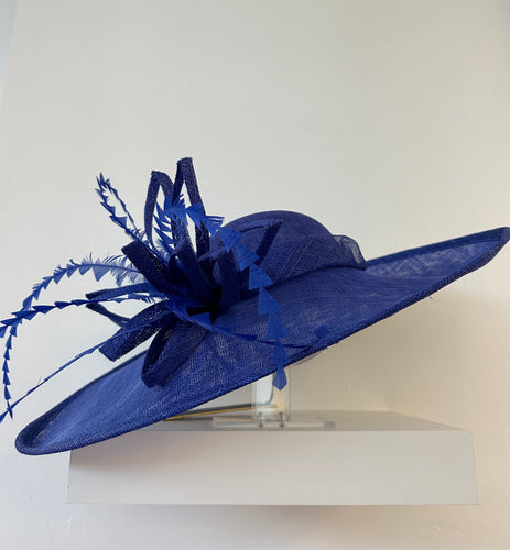 Blue Hat