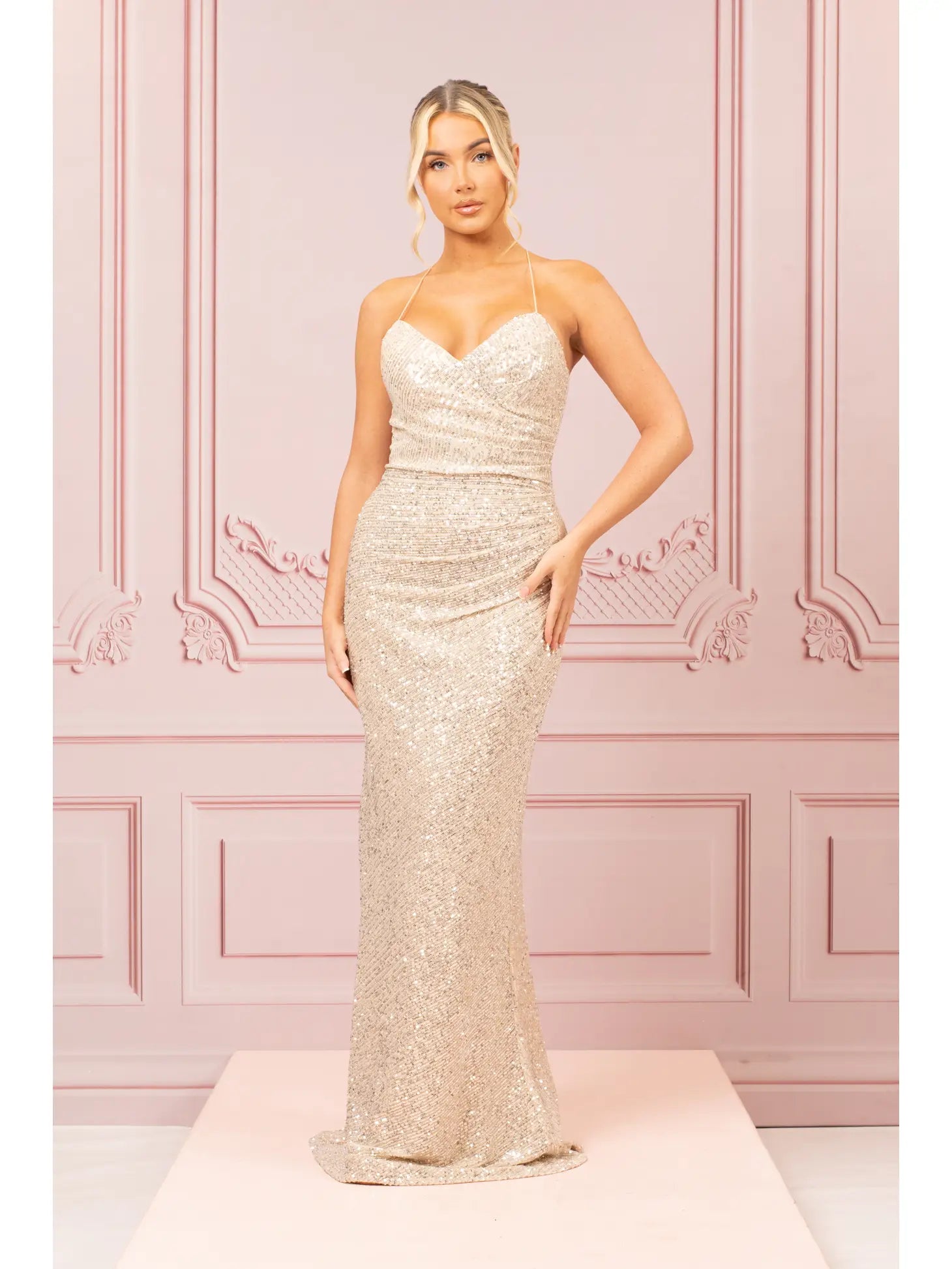 Shimmery Champagne Dress