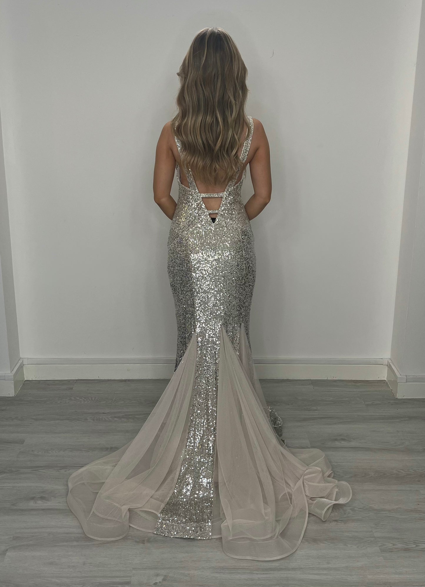 Glitter Silver Fitted Dress with Train