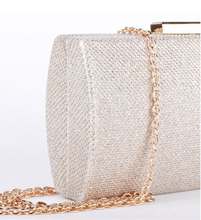 Load image into Gallery viewer, Champagne Glitter Clutch

